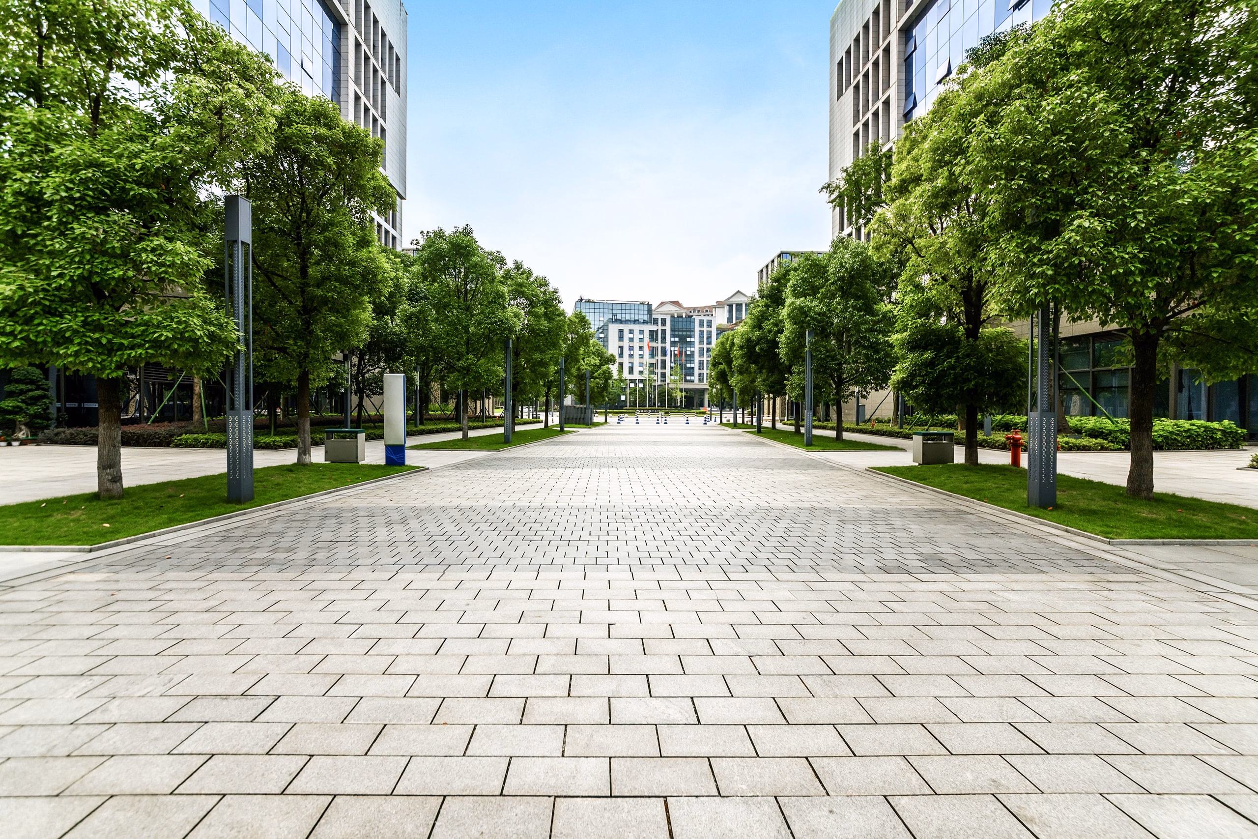 Tree-lined plaza with rows of shade trees