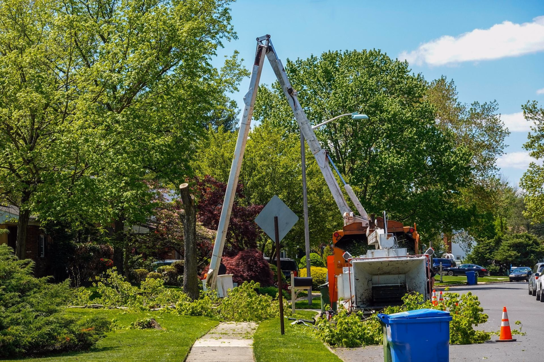Aerial lift working in the trees along a residential street