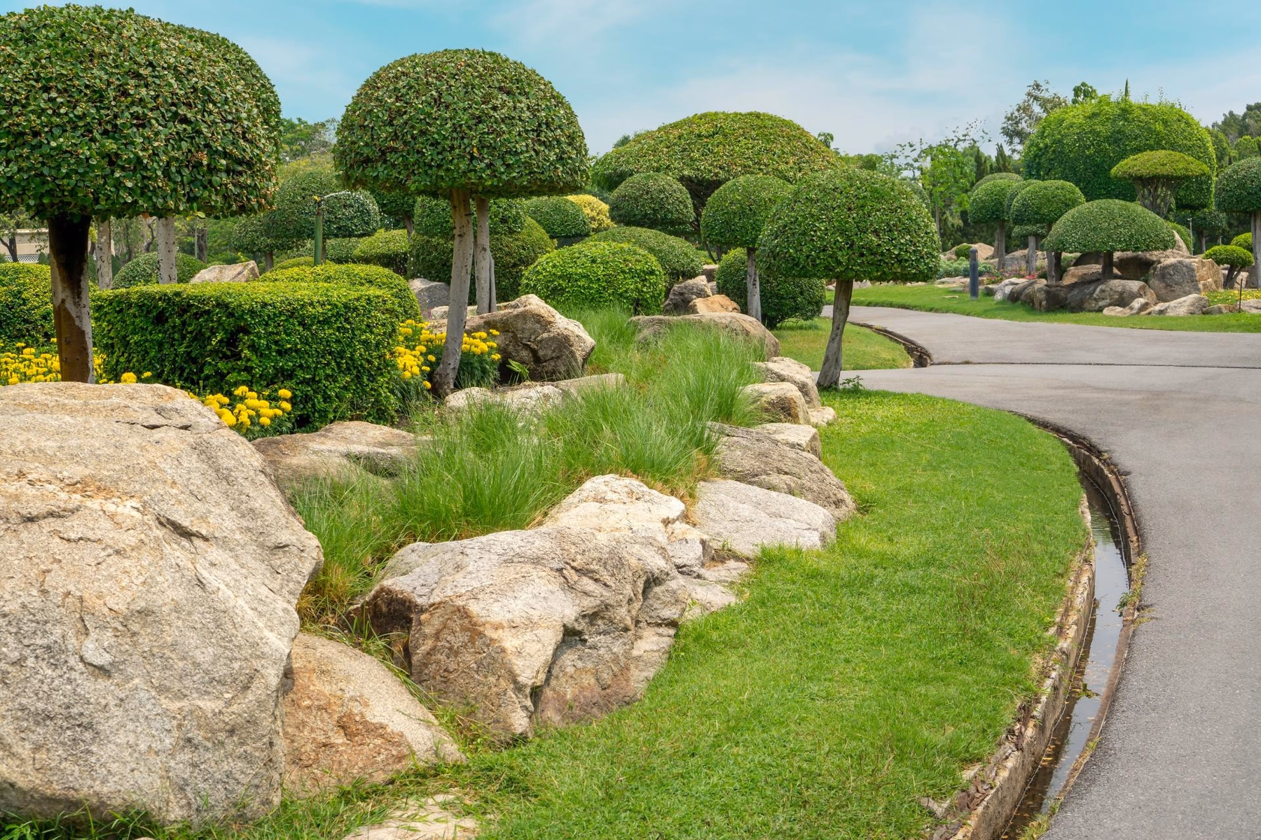 Landscaped yard with rounded, shaped shrubs and boulders