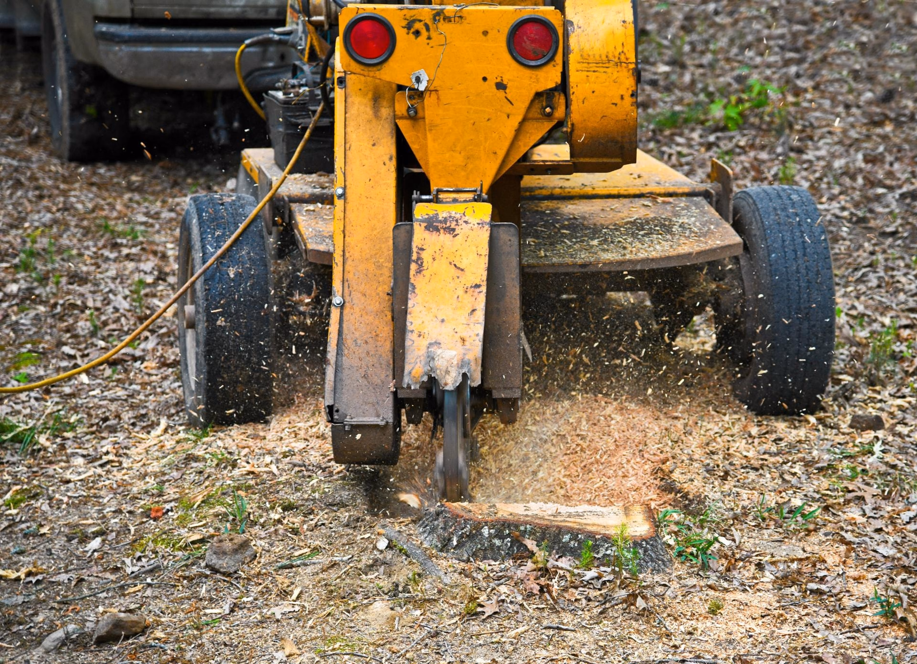 Stump grinder working a stump down to the soil