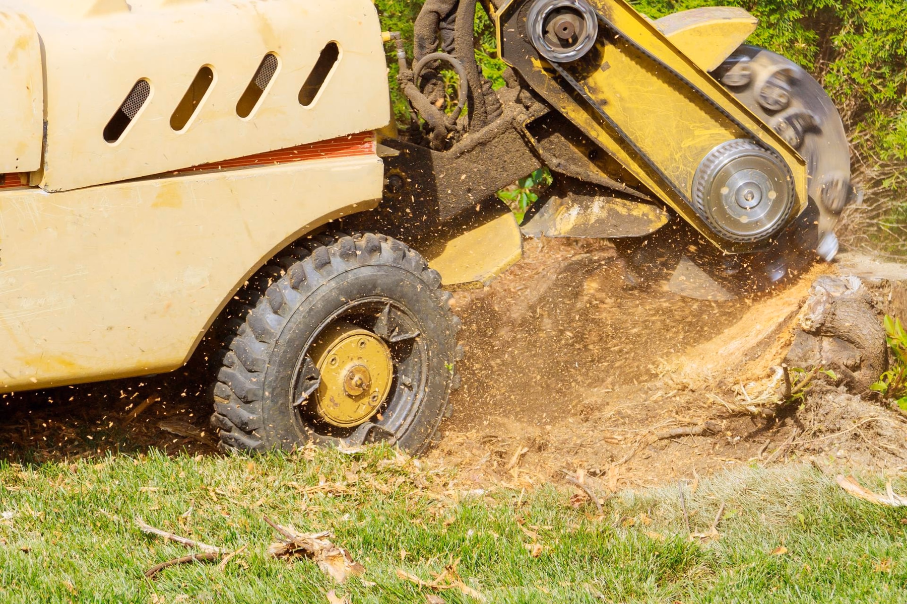 Stump grinder wheel throwing wood chips