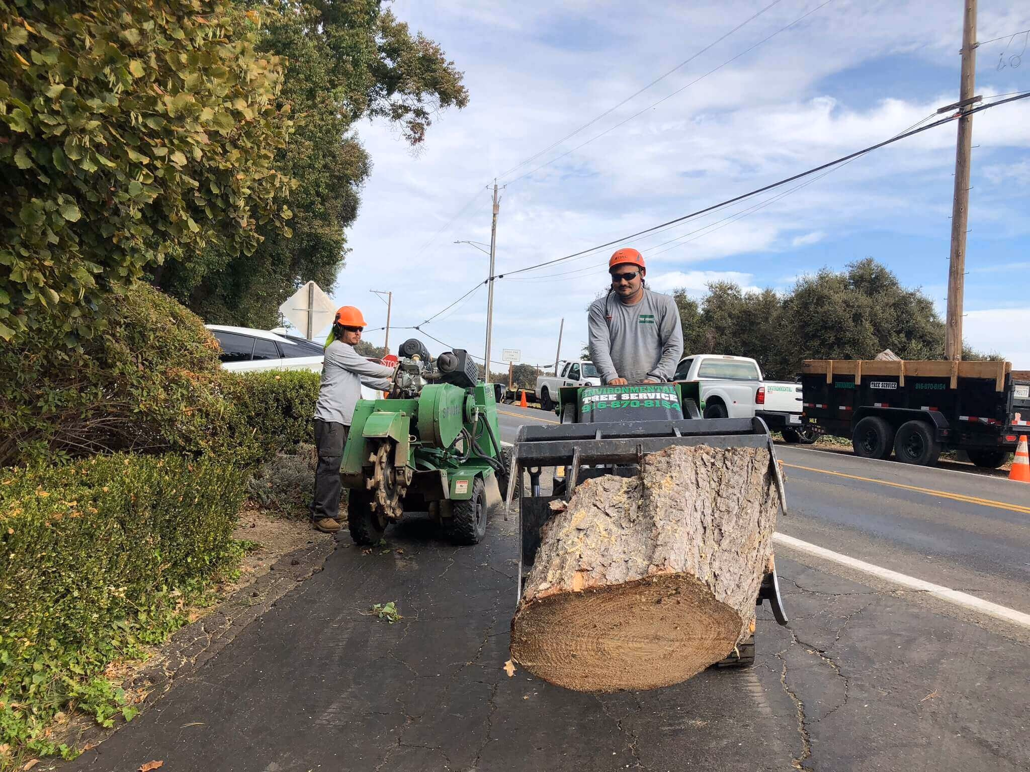 Environmental Tree Service crew with a stump grinder and a log in the loader bucket