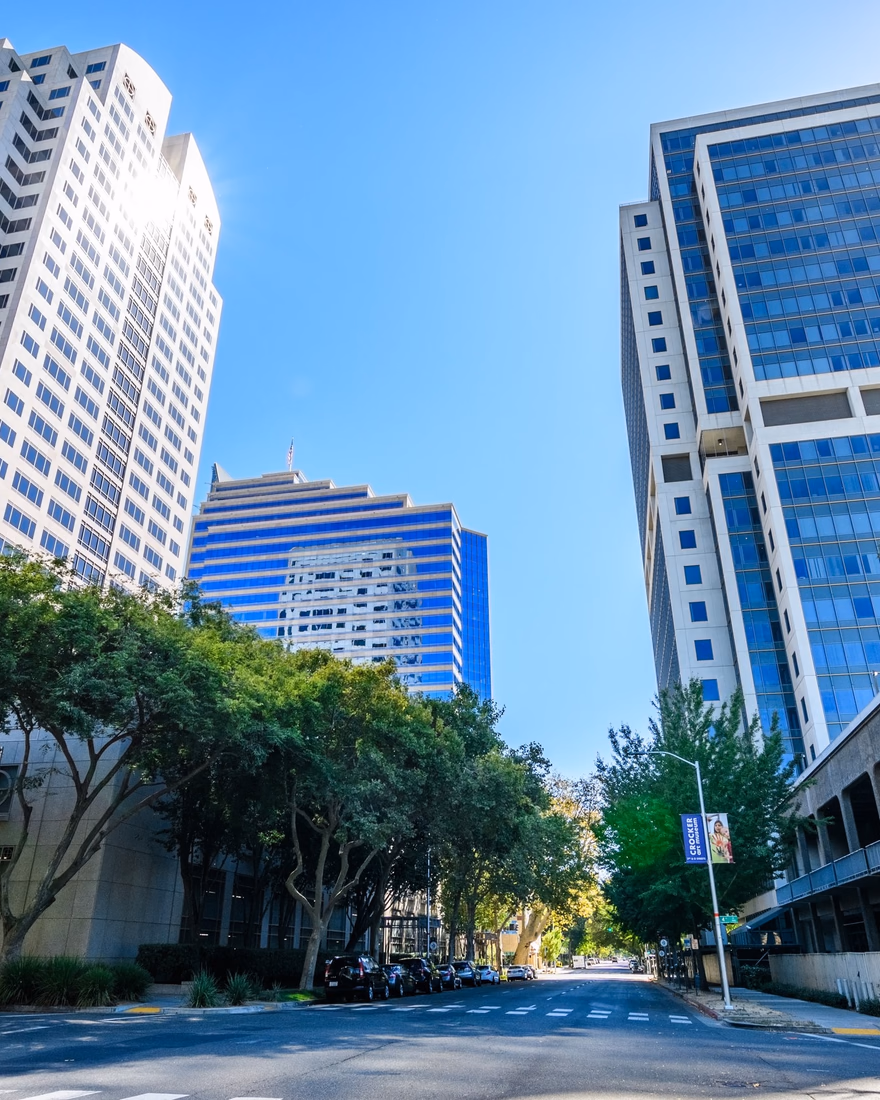 Street trees along a Sacramento-area street