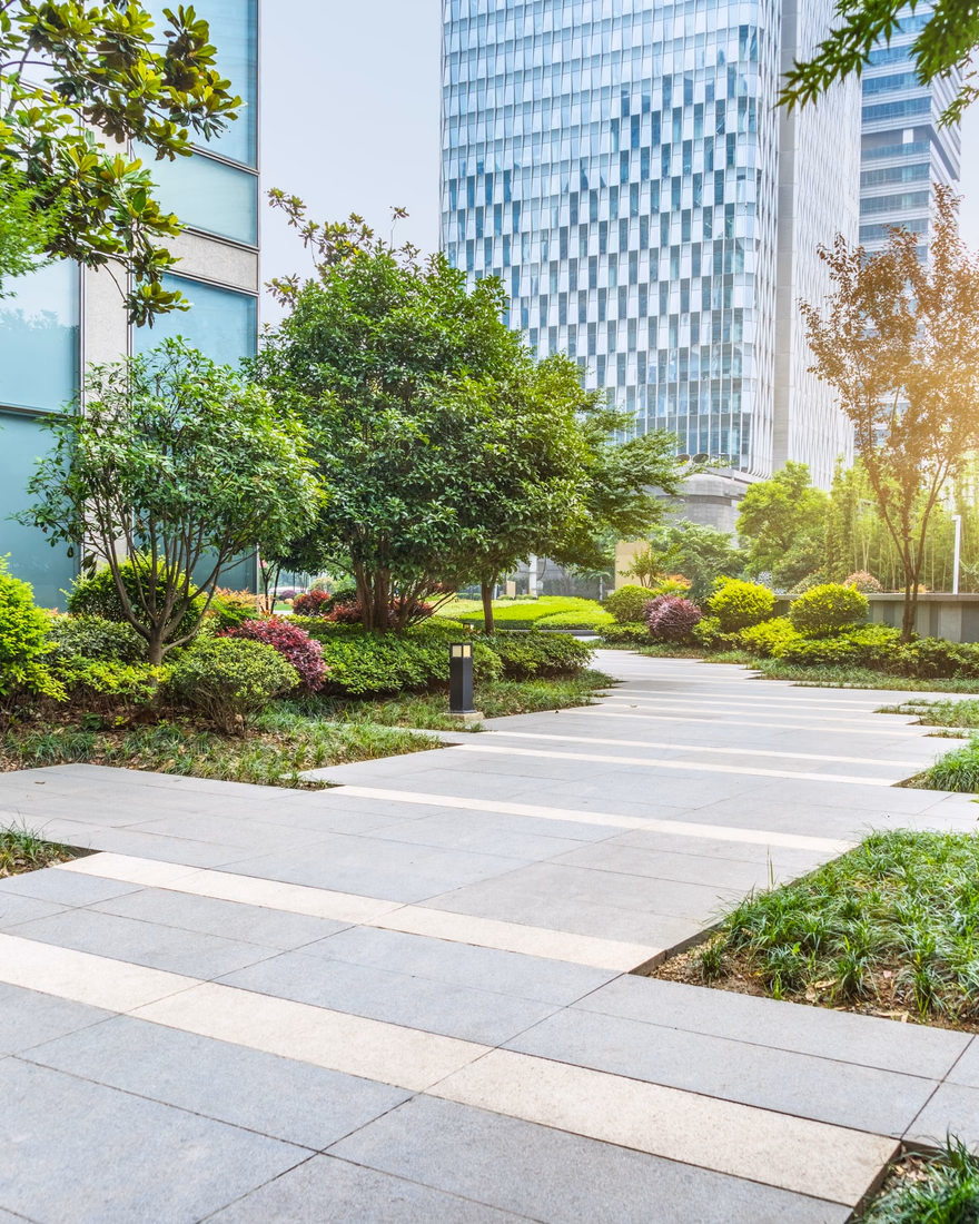 Landscaped walkway and trees at an office park