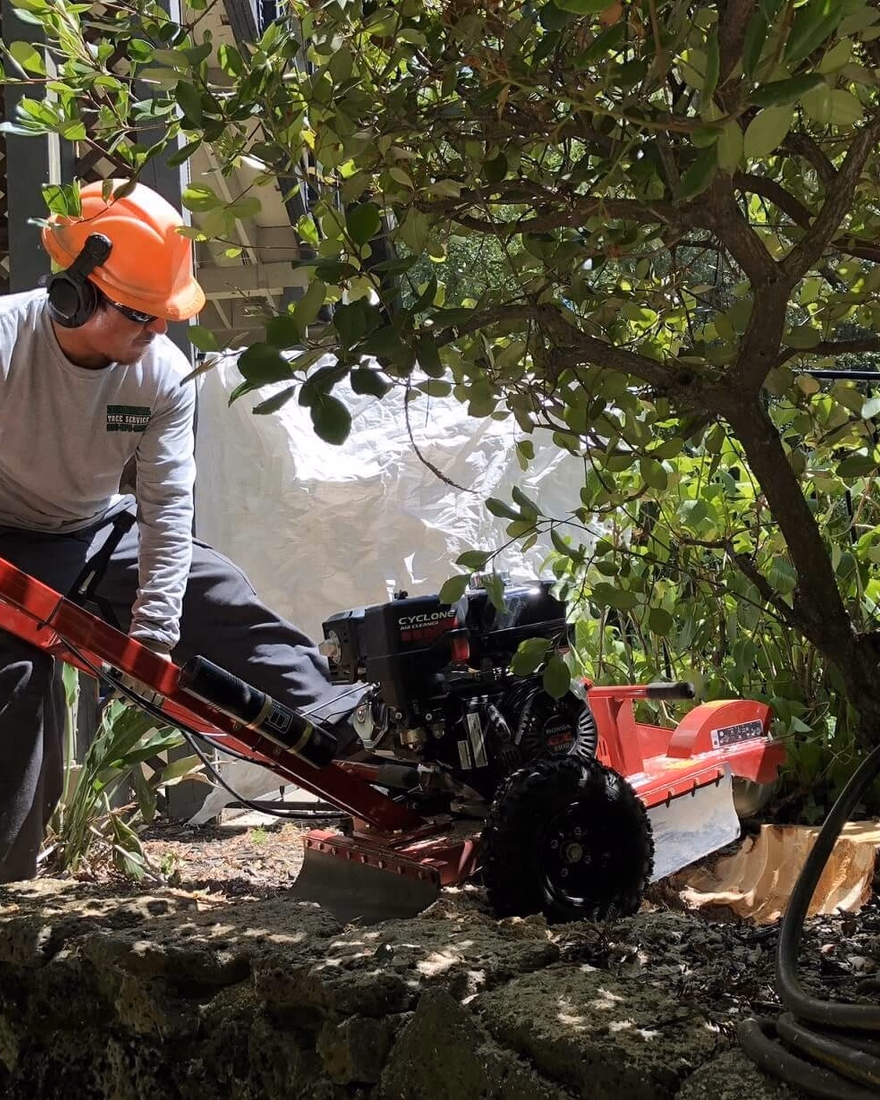 Environmental Tree Service crew member grinding a stump in a backyard