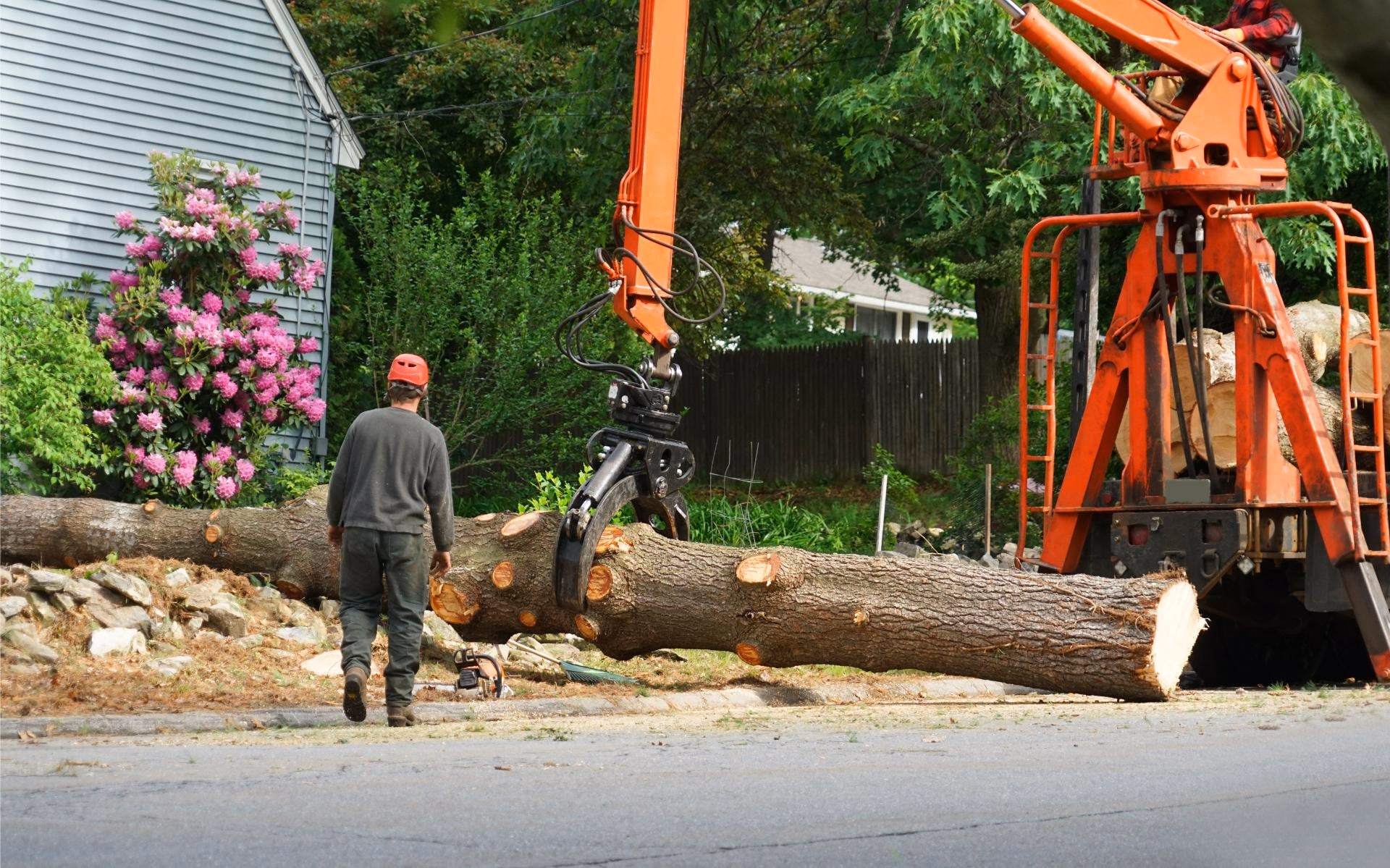 Crane and log loader lifting a cut trunk during a tree removal
