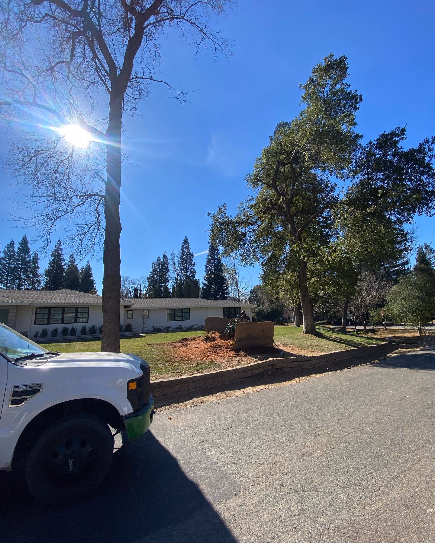 Environmental Tree Service: chip truck parked in the morning sun
