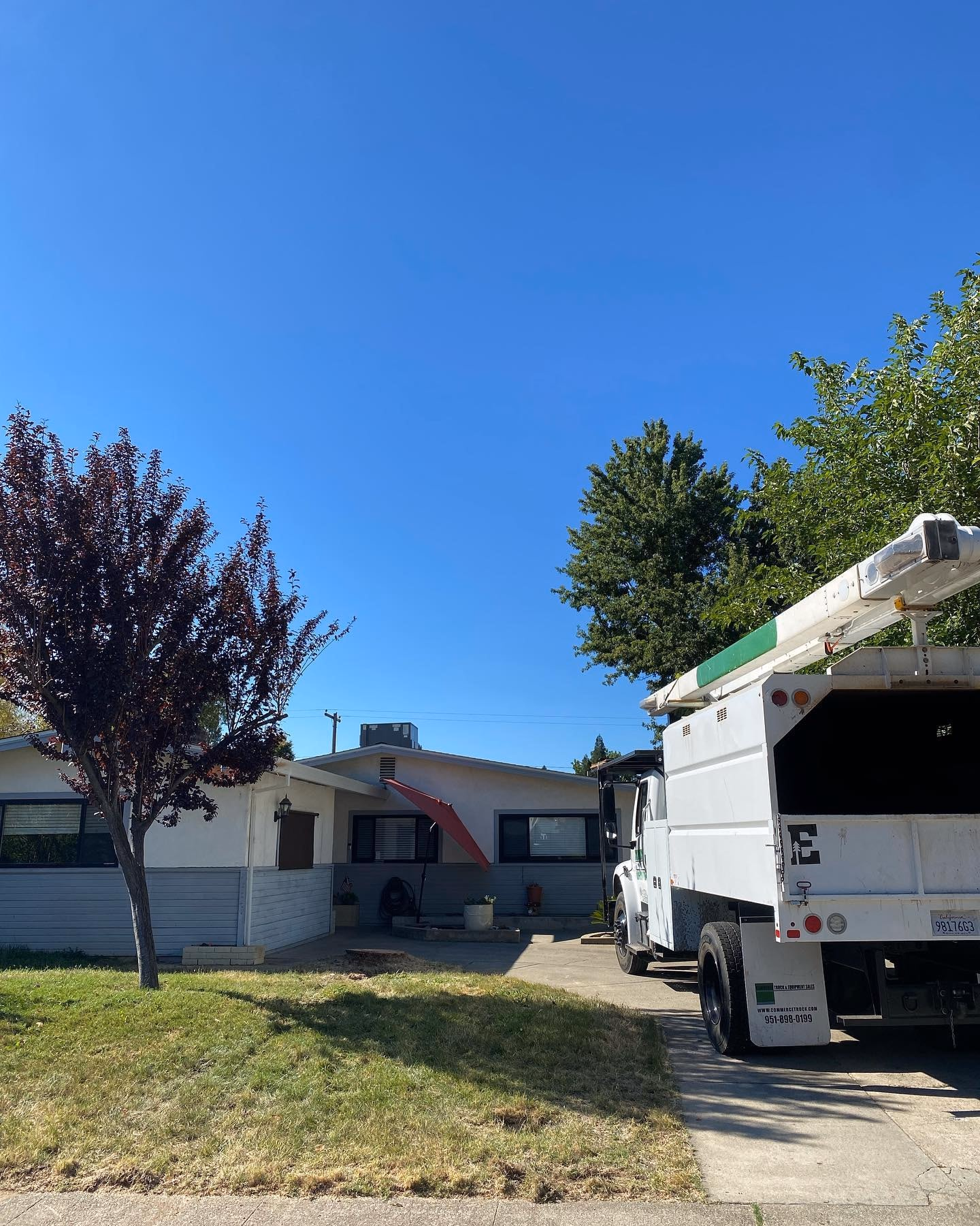 Environmental Tree Service: chip truck ready for the day's work