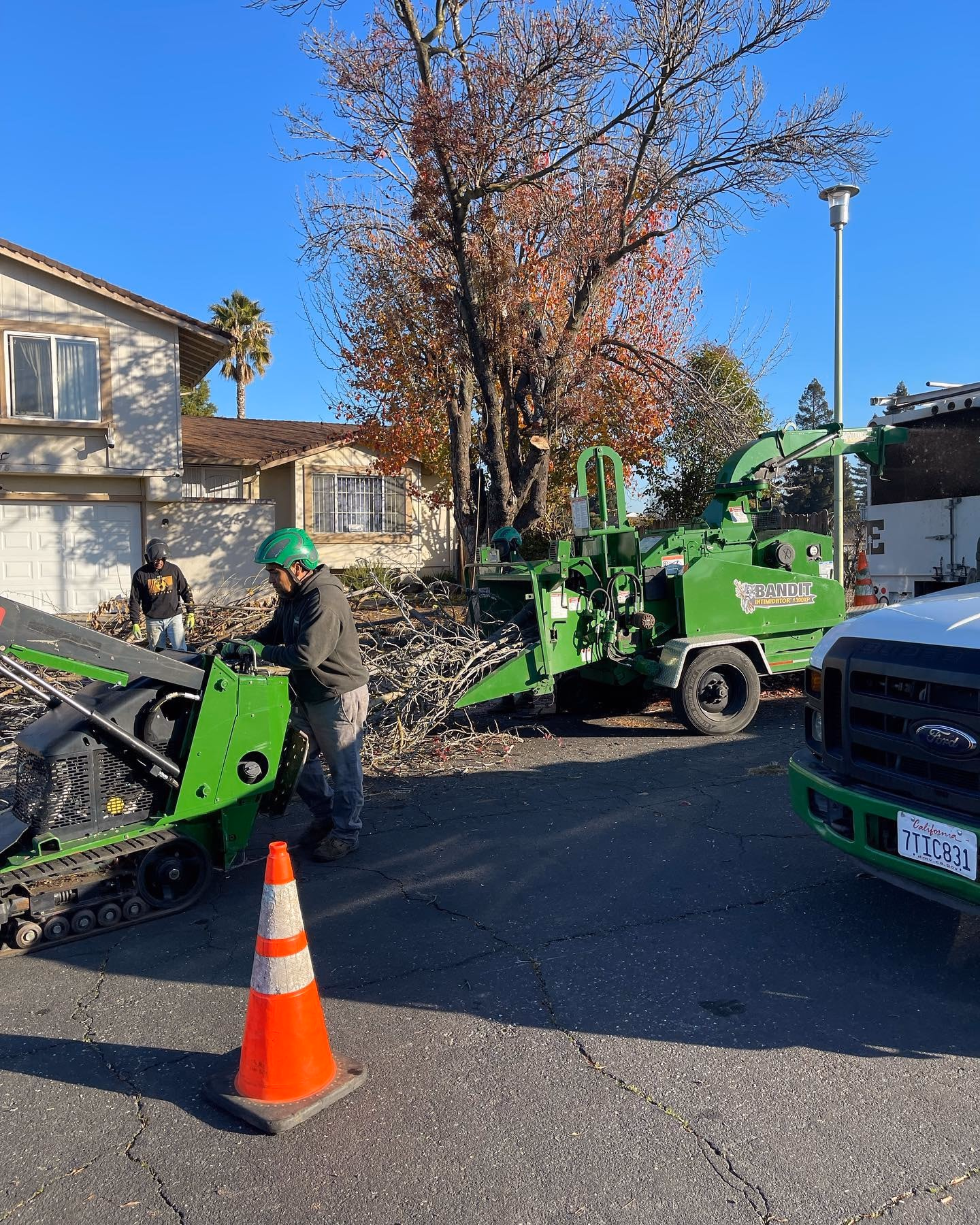 Environmental Tree Service: chipper at the curb with safety cones