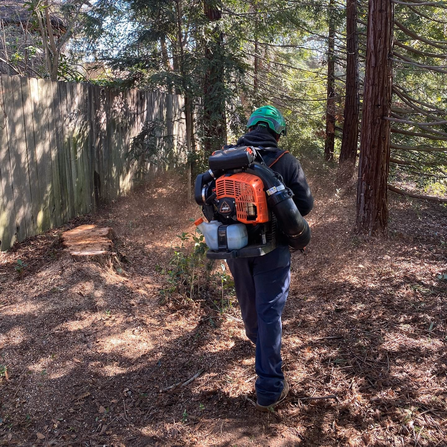 Environmental Tree Service: crew member cleaning up with a leaf blower