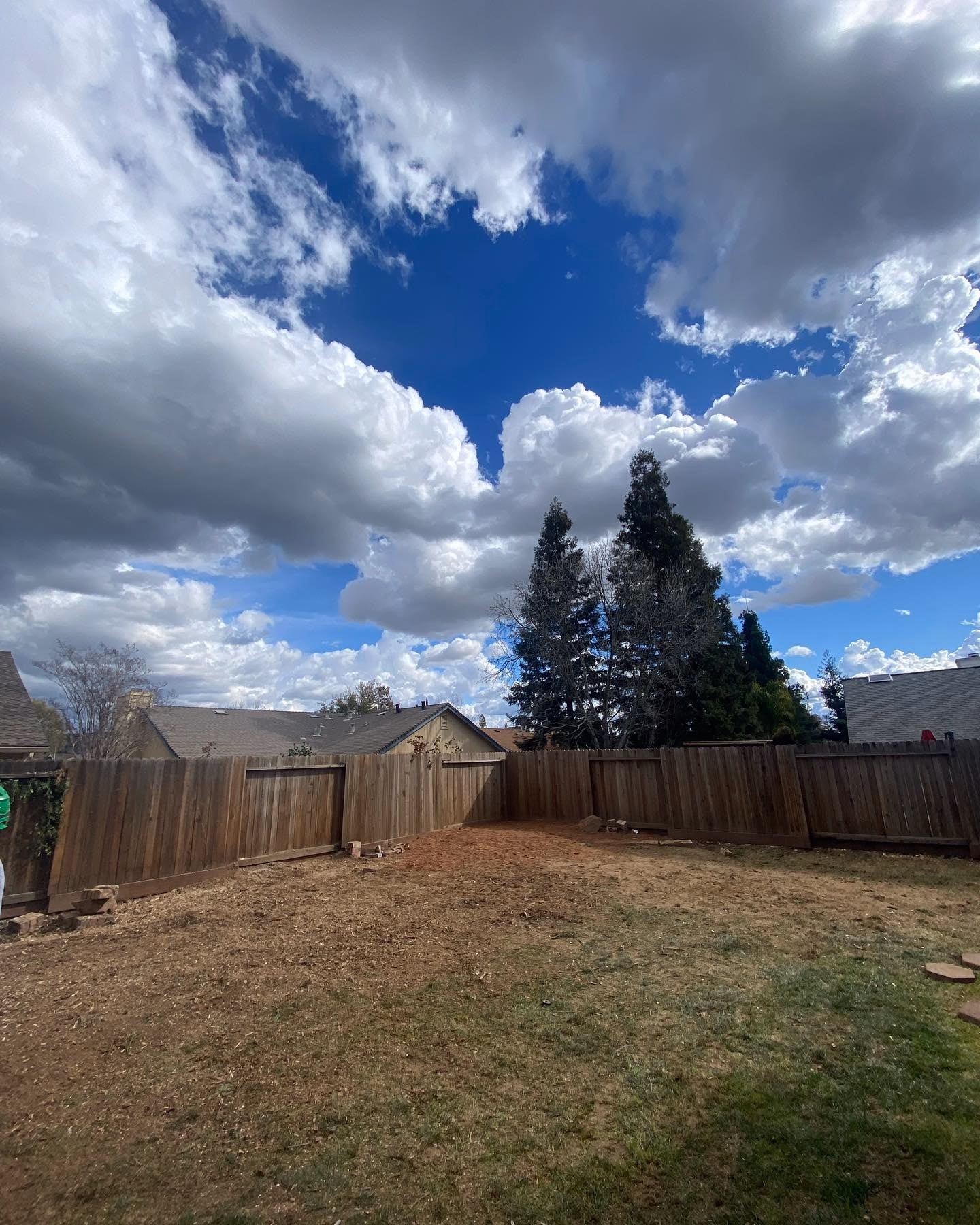 Environmental Tree Service: cleared backyard after a removal