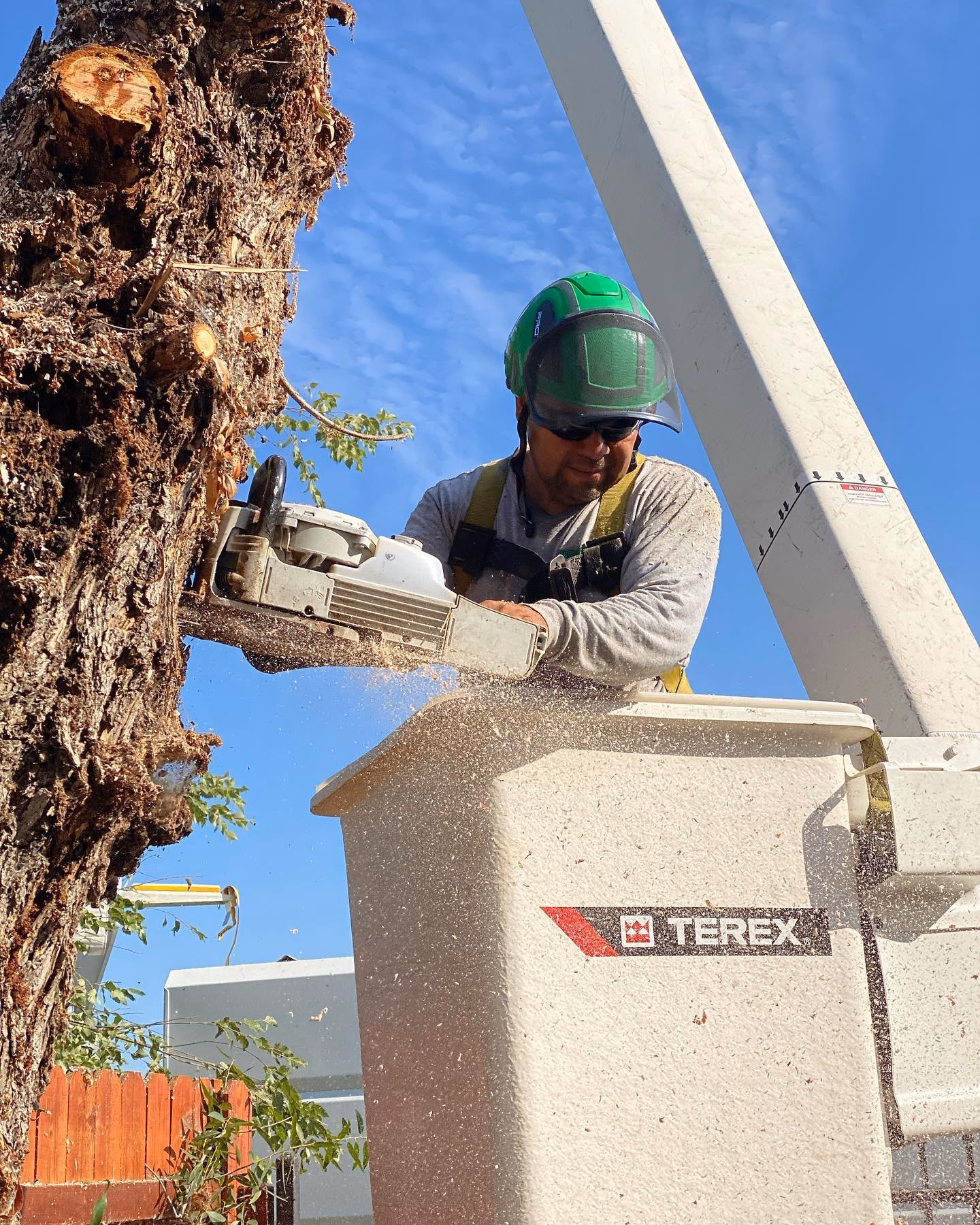 Environmental Tree Service: crew member in the bucket cutting at a large trunk