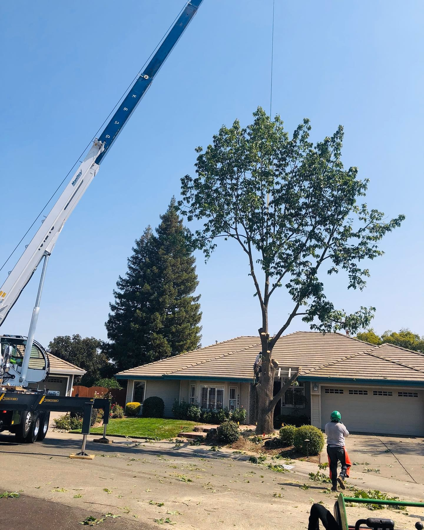 Environmental Tree Service: crane lifting a cut section out of a tree