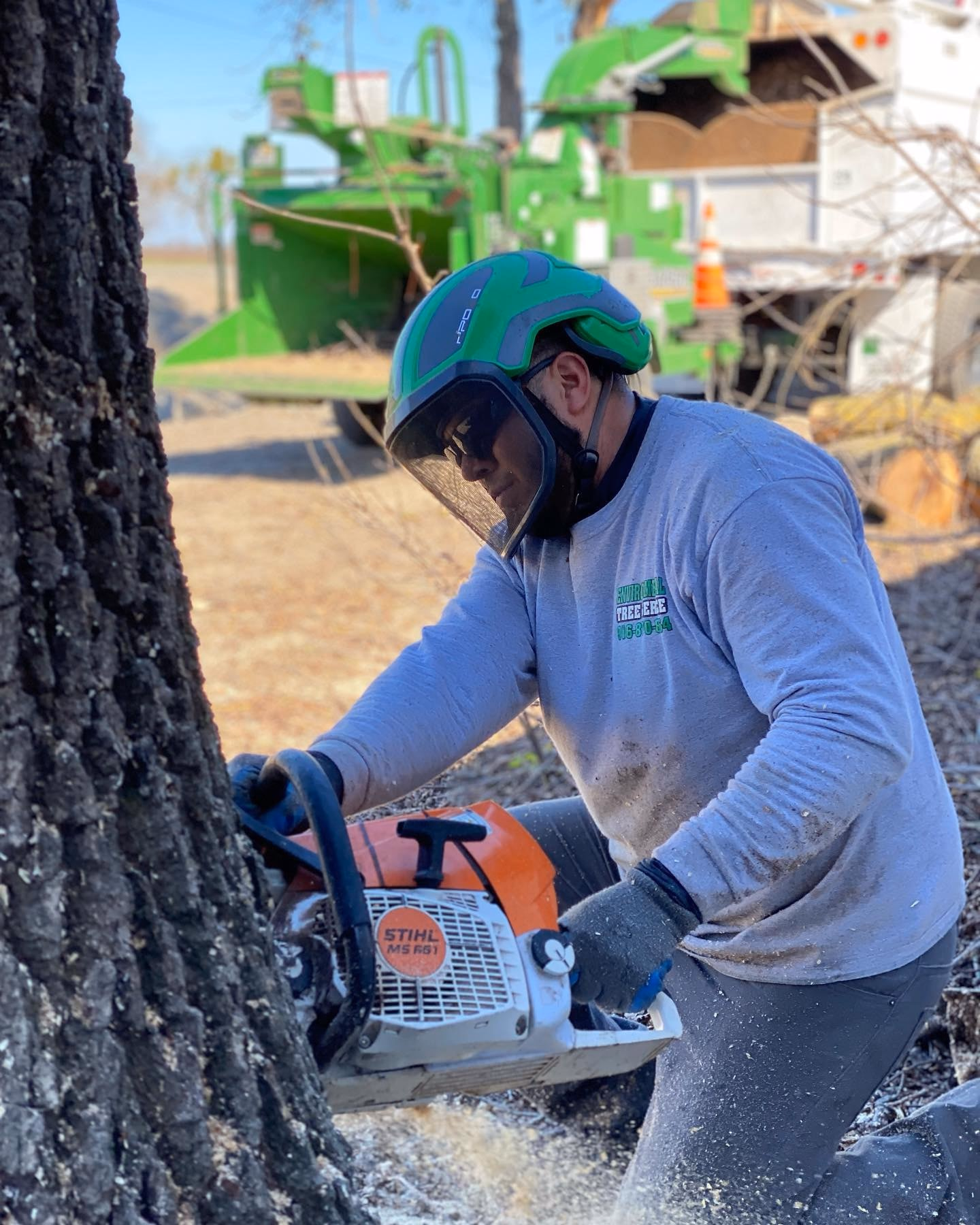 Environmental Tree Service: crew member cutting a large trunk