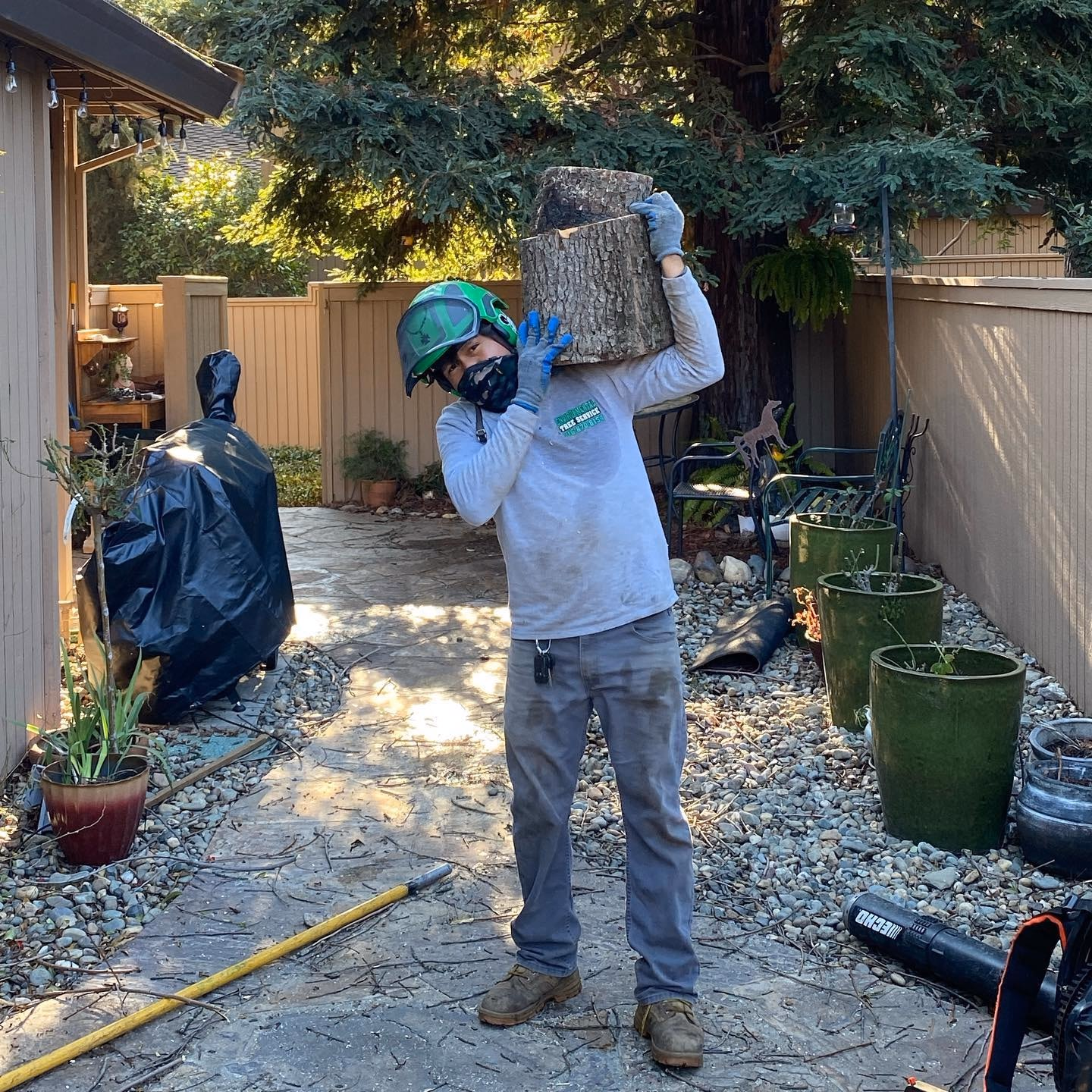 Environmental Tree Service: crew member carrying cut rounds