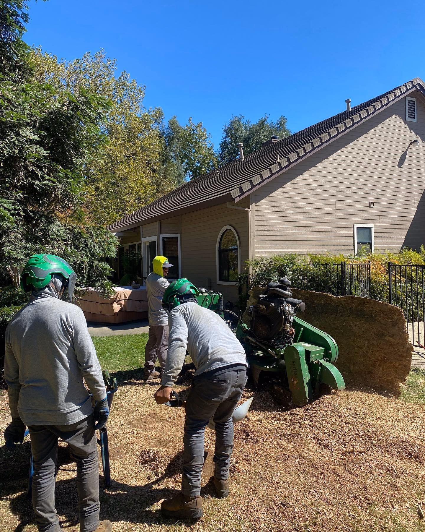 Environmental Tree Service: crew working in a front yard