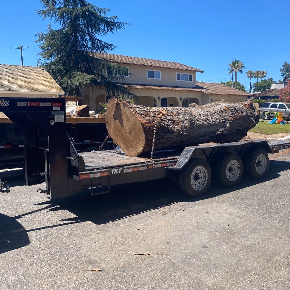 Environmental Tree Service: large log loaded on the trailer