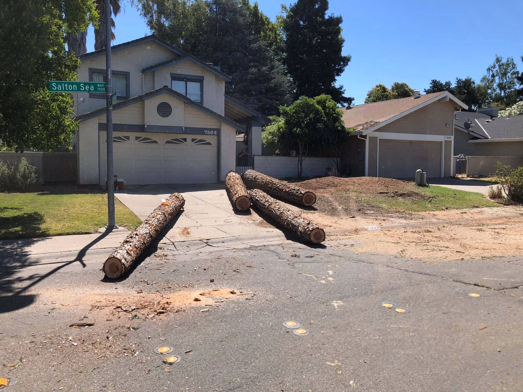 Environmental Tree Service: cut logs on a residential street after a removal