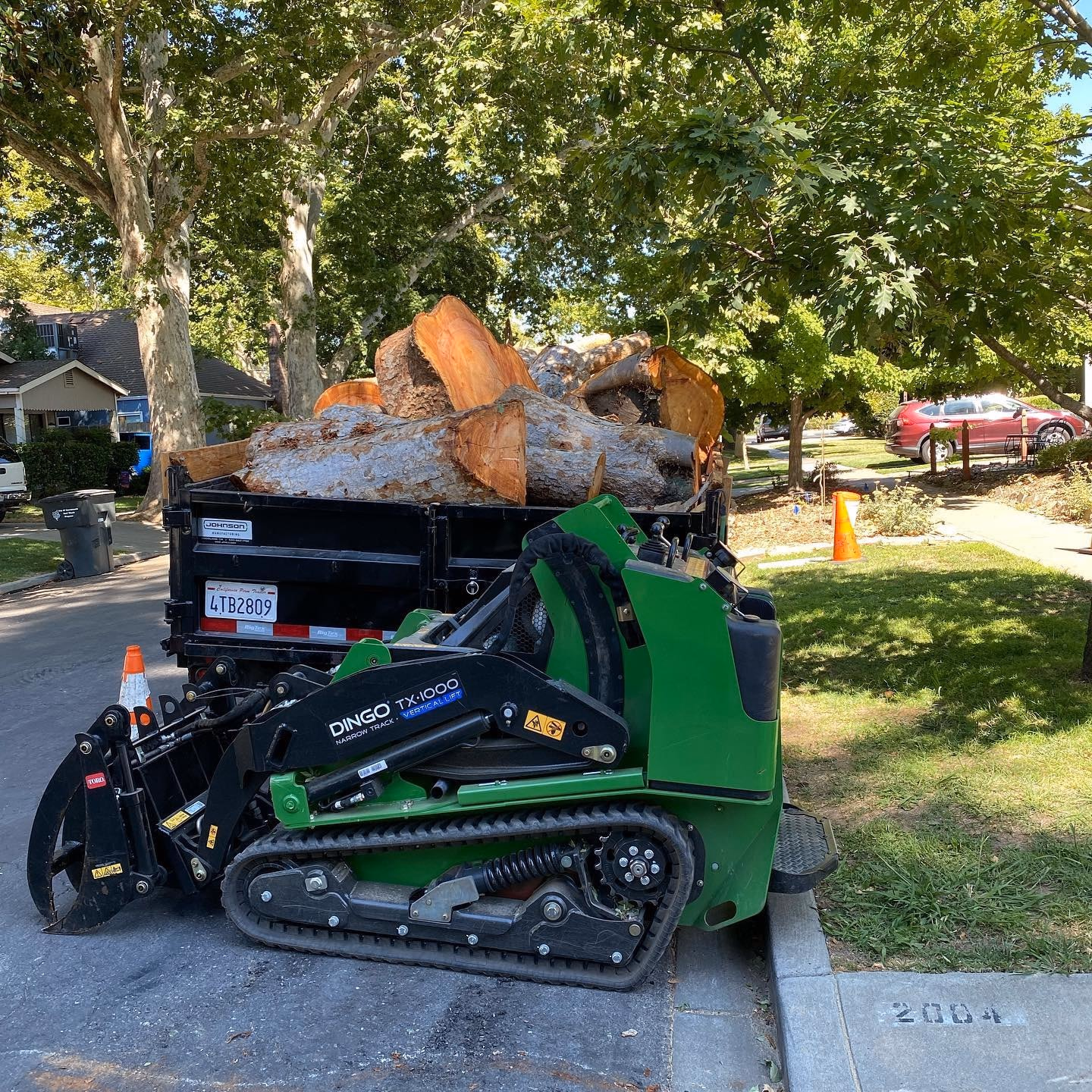 Environmental Tree Service: compact track loader hauling logs to the trailer