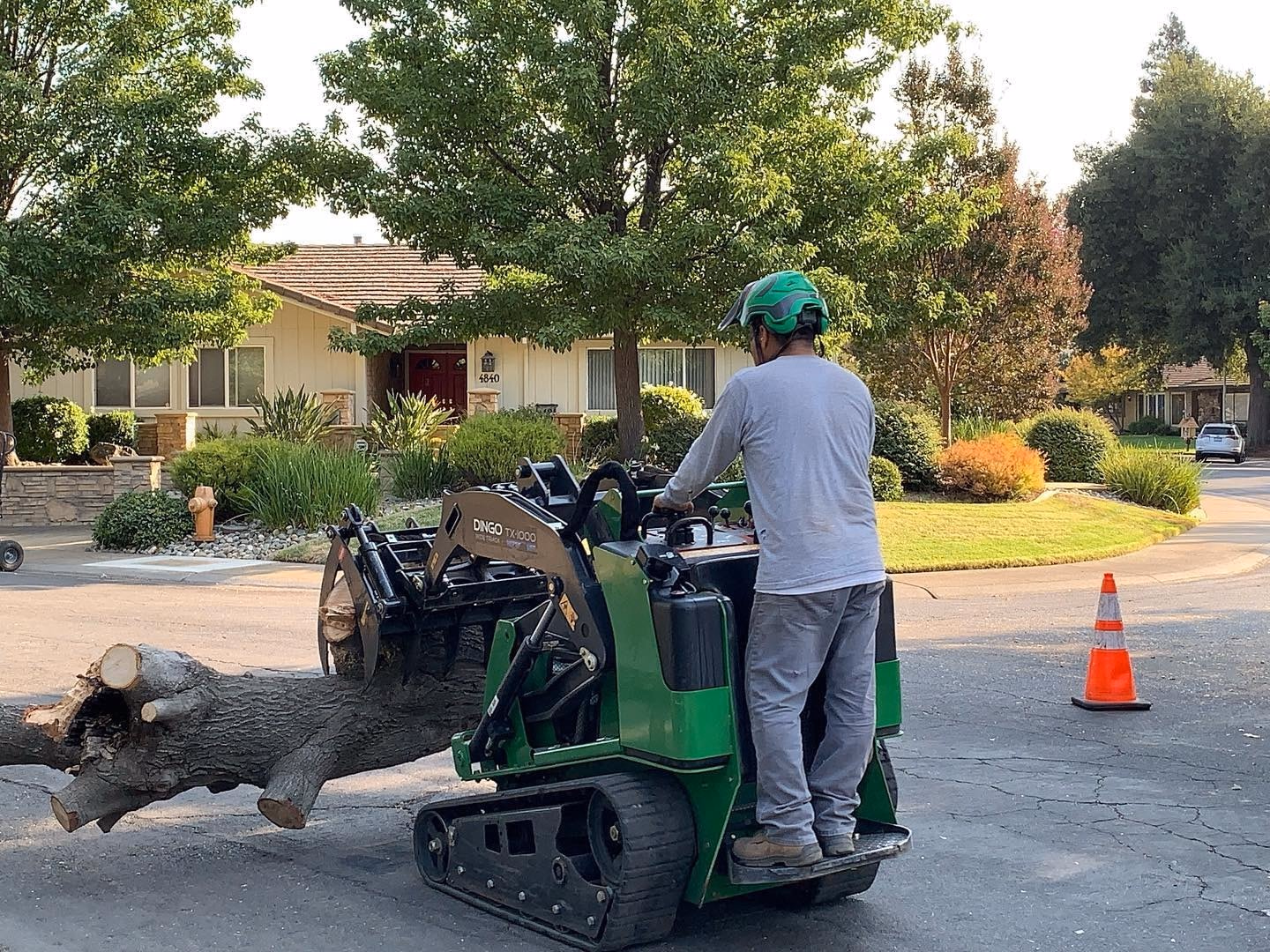 Environmental Tree Service: compact track loader moving a log to the street