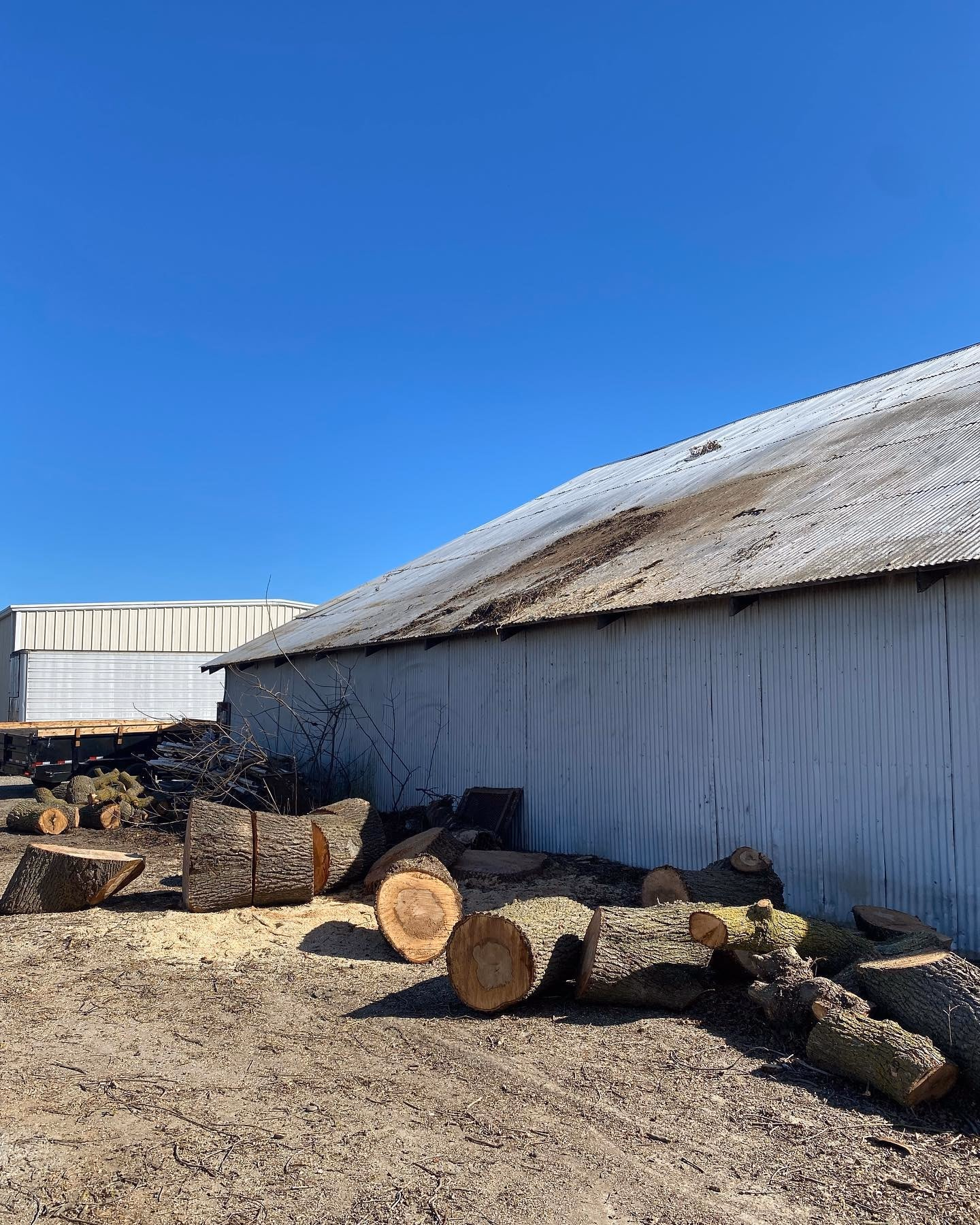Environmental Tree Service: rounds stacked for hauling