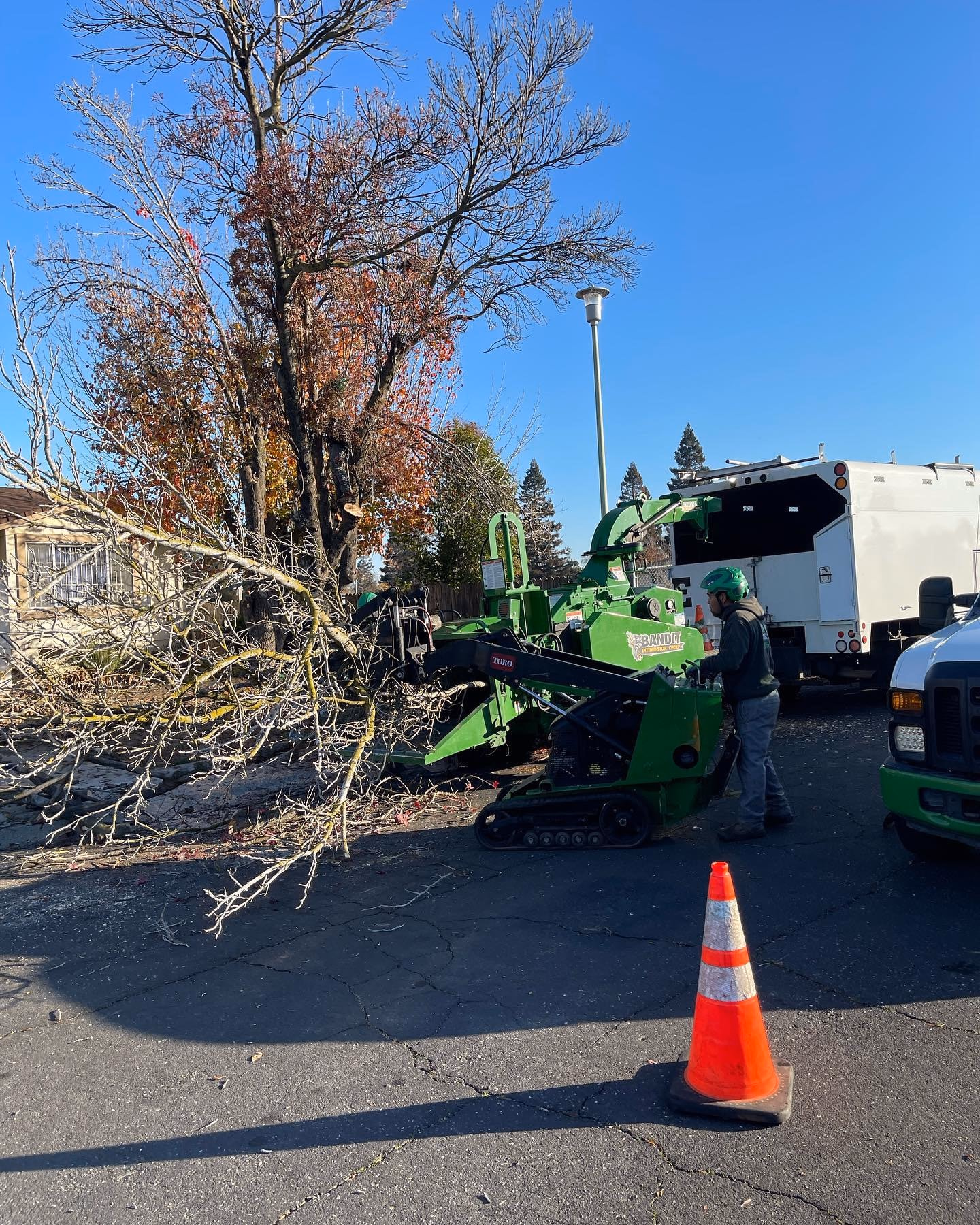 Environmental Tree Service: storm branches being cleared from a street