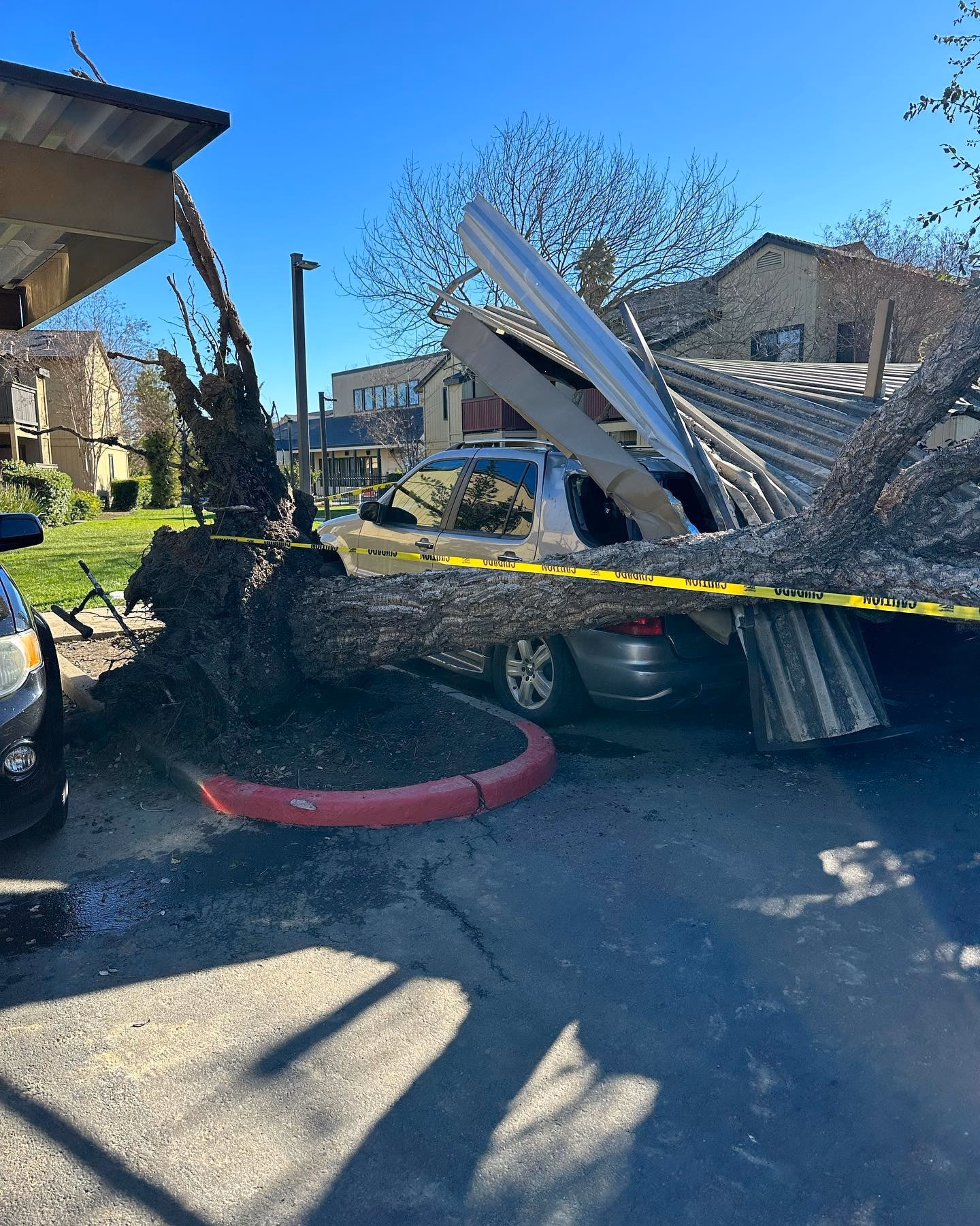 Environmental Tree Service: storm-felled tree on a collapsed carport