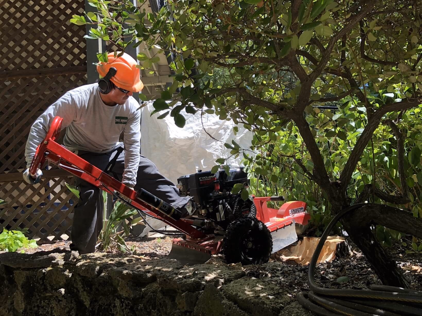 Environmental Tree Service: crew member grinding a stump in a backyard