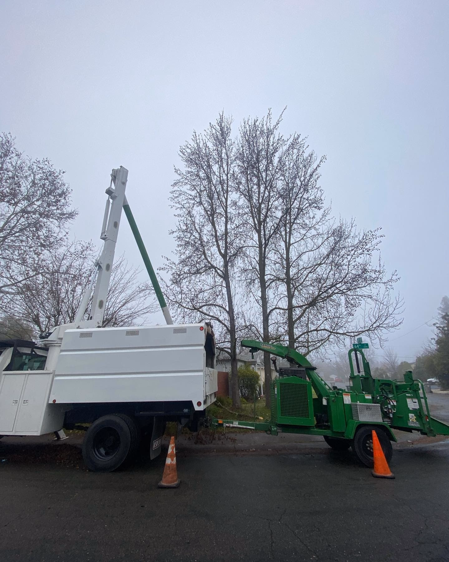 Environmental Tree Service: tree removal with the bucket truck