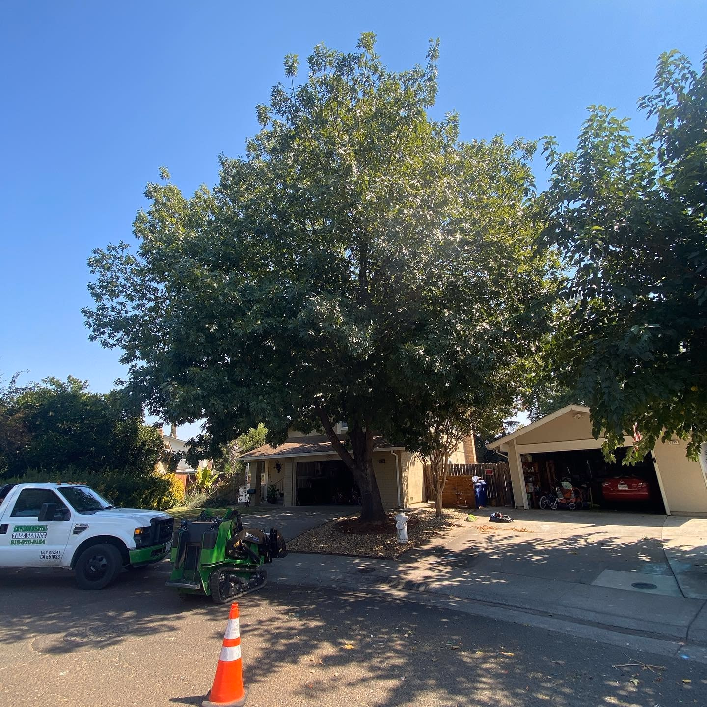 Environmental Tree Service: truck and chipper parked beside a home